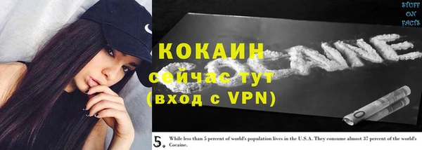 дживик Волоколамск