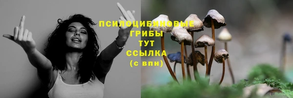 винт Володарск