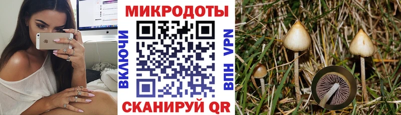 купить наркотики сайты  Касимов  Псилоцибиновые грибы прущие грибы 